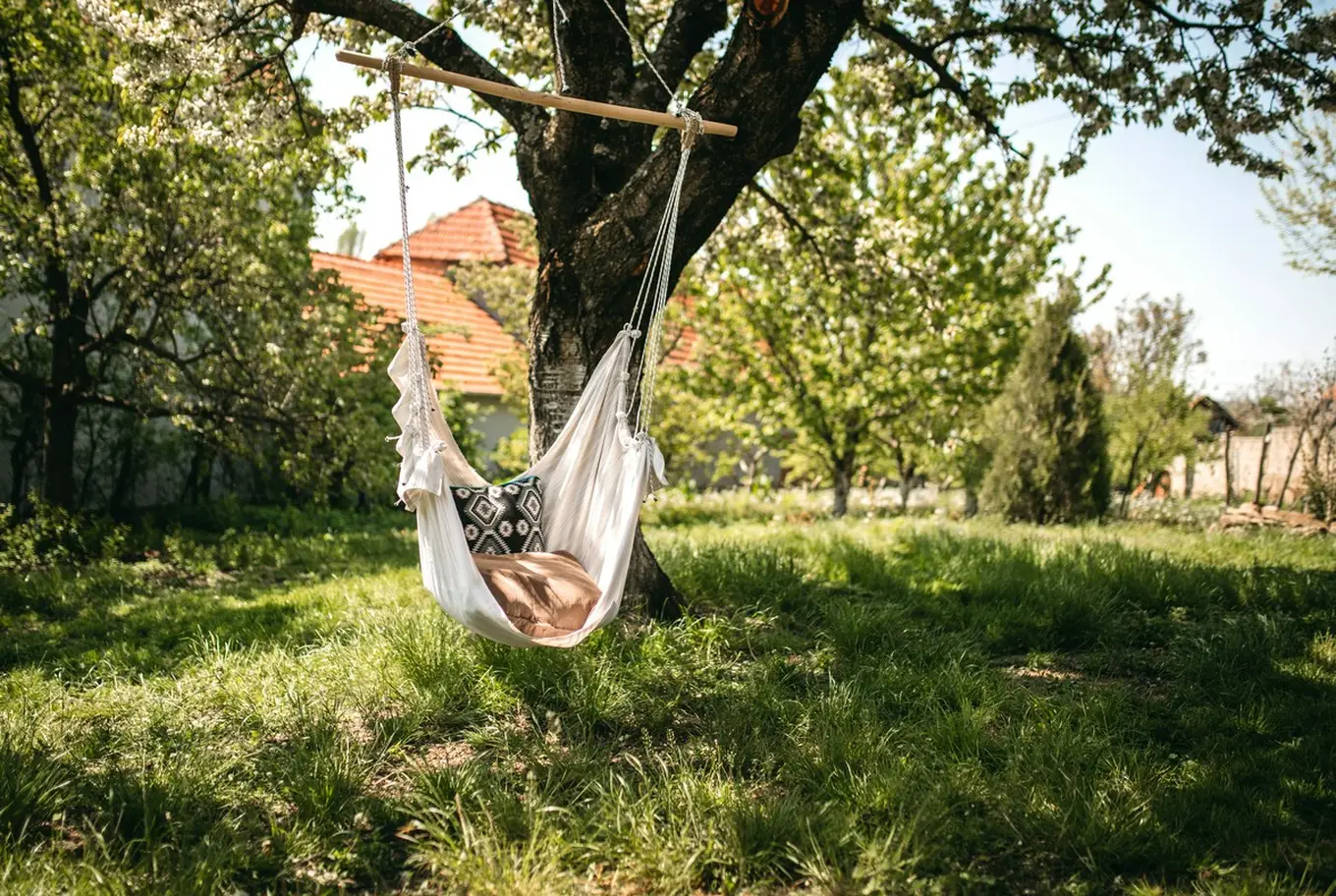 hamak na drzewie